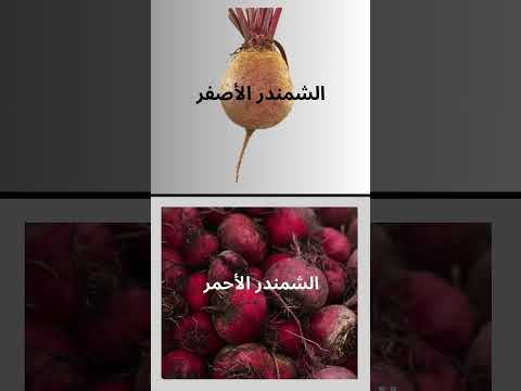 ايهما افضل الشمندر الاصفر ام الشمندر الاحمر اكسبلور طبخات طبخ  