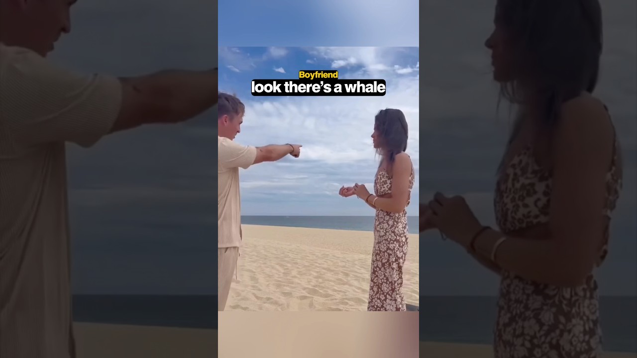 When A Proposal Goes Wrong…