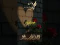 الحمد لله على نعمة إِننا من أُمةالحبيب ﷺ🕊️