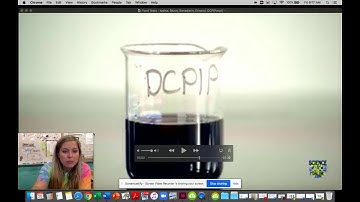Unit 4- Food Test for Vitamin C