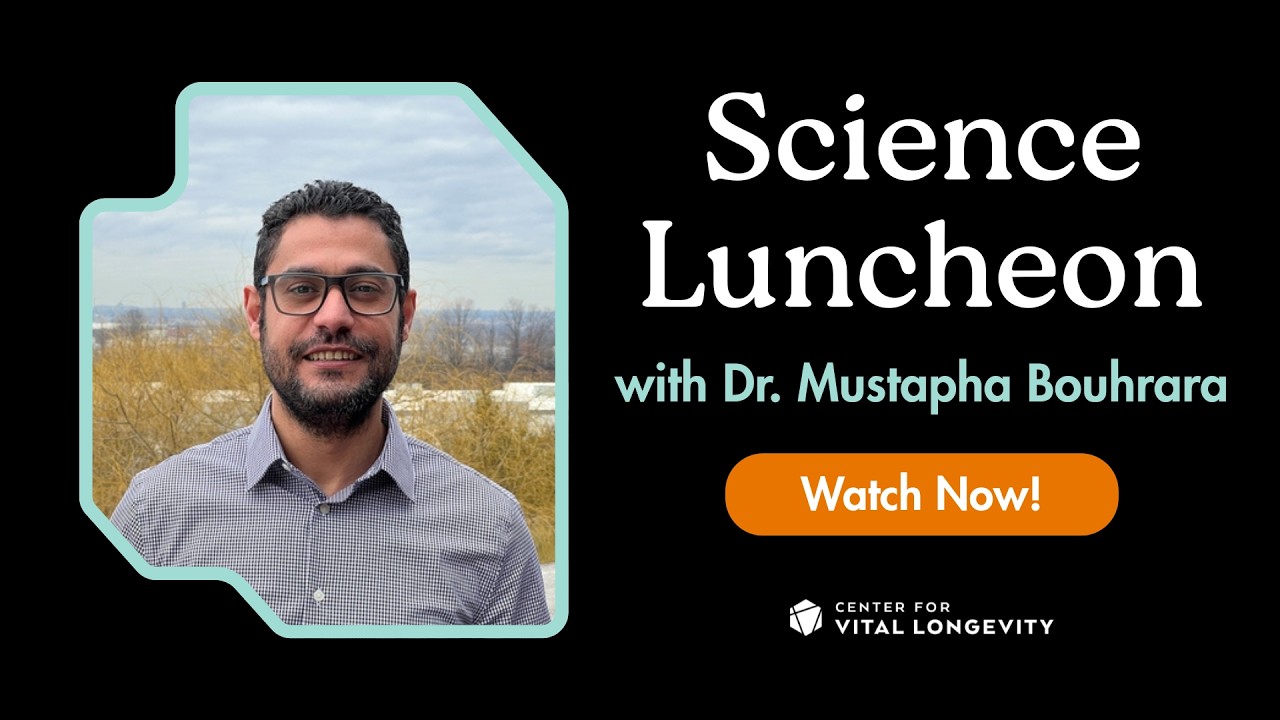 Progress in Understanding Aging and Dementia: MRI Physics, Biomarkers, and White Matter Health