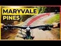 Maryvale Pines MTB... Watch This before you ride...