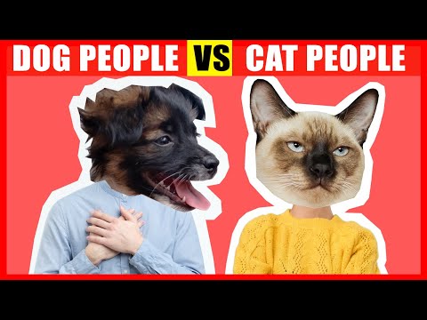 Video: Hundemænd, Cat People-Der er virkelig en forskel, Facebook Study Shows