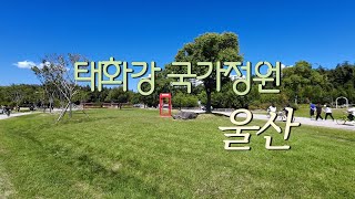 태화강국가정원 태화강전망대 영상
