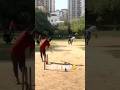 Catch or wot cricket cricketlovecricket cricketlover ipl viral shorts