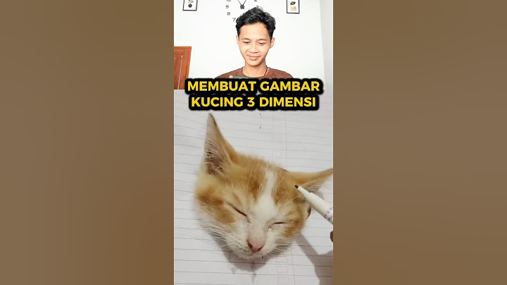 GAMBAR KUCING 3 DIMENSI! KEREN KAN?