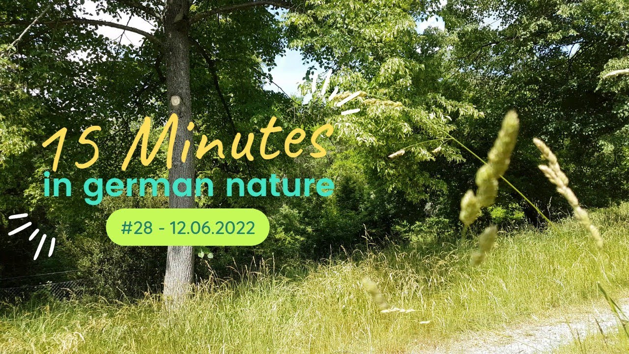 15 Minutes In German Nature 28 4K YouTube 15-minutes-in-german-nature-28-4k-youtube