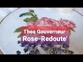 228.Вышиваю Thea Gouverneur/2030 Rose-Redoute. Половина работы.