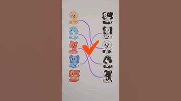 Poppy playtime smiling critters 3 matching game🧩 #shorts #viral