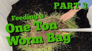 One Ton Worm Casting Bag | Part 3