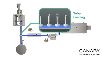 JuanaRoll End of Line System from Exiting, Check Weighing, Inspecting to Tube Loading