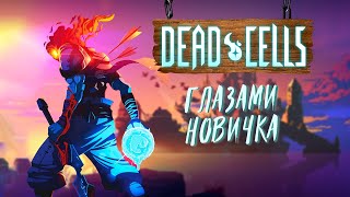 DEAD CELLS ГЛАЗАМИ НОВИЧКА