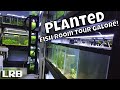 Biggest Planted Fish Room Aquarium Gallery Collection Freshwater Tour! Lots of Tanks!