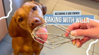 Baking Homemade Dog-Friendly Cookies