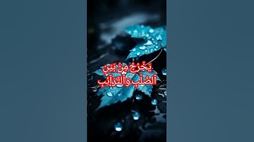 ارح سمعك سورة الطارق بصوت القارئ الشيخ فارس عباد