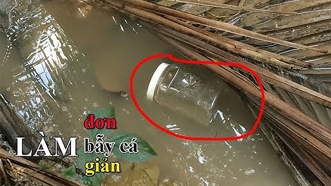LÀM BẪY CÁ ĐƠN GIẢN BẰNG KEO NHỰA THÀNH QUẢ THẬT BẤT NGỜ | MIEN TAY Food & Lifestyle