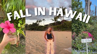 видео: ОСЕННИЙ ДЕНЬ НА ГАВАЙЯХ картинка: ОСЕННИЙ ДЕНЬ НА ГАВАЙЯХ