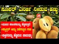 ಸಪೋಟಾ ಹಣ್ಣಿನ ಆರೋಗ್ಯ ಪ್ರಯೋಜನಗಳು | Health benefits of sapota | YOYO Kannada News