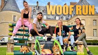 LA COURSE DE CANIDÉS 2 🐶 - Natoo