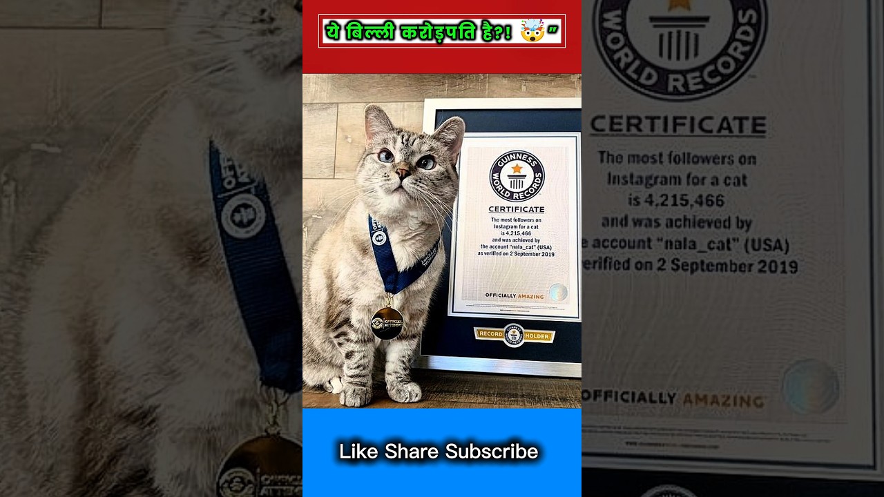 World's Richest Cat 🤑