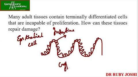 Interview Type Cell Biology Questions for Practice_20