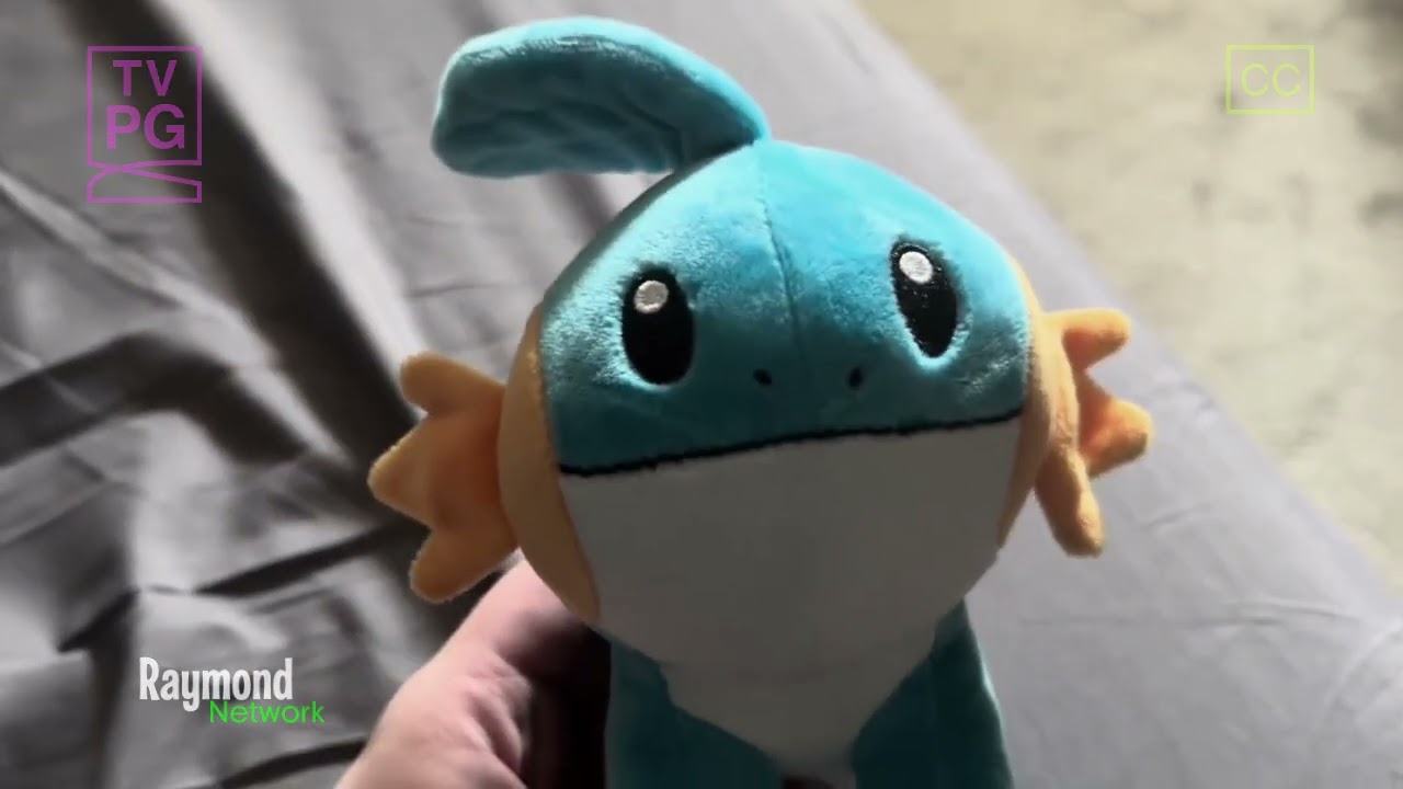 Коммерческая пауза сети Raymond 2026 4