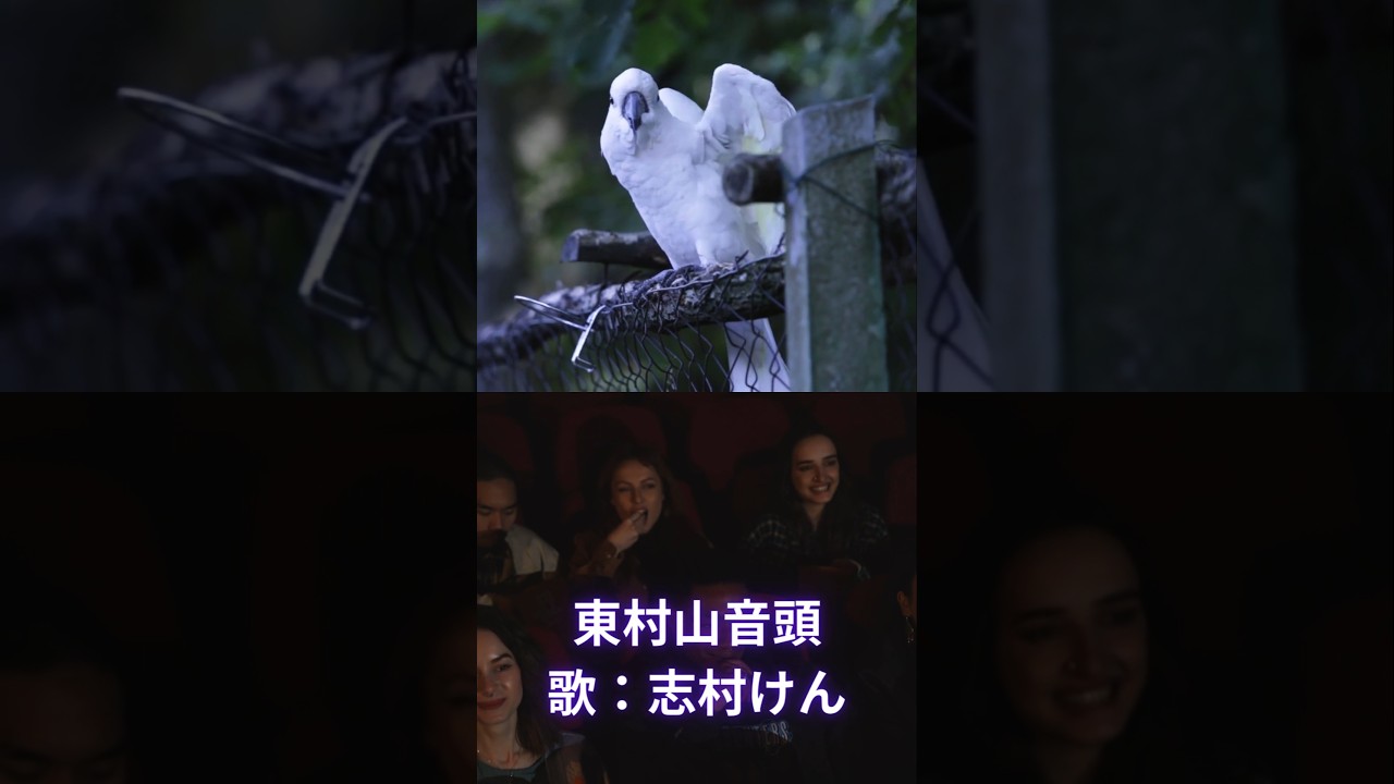 志村けん【東村山音頭】(1976年) - YouTube