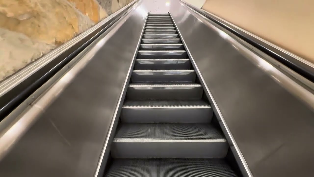 Kone & Westinghouse Double-File Escalators ~ Macy’s - Mayfair ~ Wauwatosa, WI