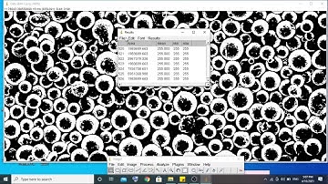 Analisis Data SEM Menggunakan Software Image J dan Origin