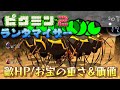 ピクミン2 ランダマイザー 敵HP/お宝の重さ&価値ランダム　Part３