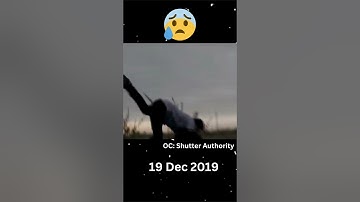 Evolution of Siren Head #shorts #sirenhead