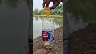 Bottle Fish Trap Making For Hunting Two Fish