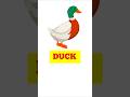 Duck | बत्तख | Easy Animal Learning