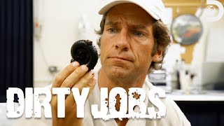 The Dirtiest Bug Jobs | Dirty Jobs | Discovery