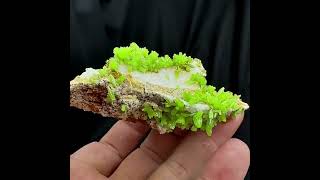 Video preview: Light Green Flower-Shaped Pyromorphite — Guangxi, China | Natural Mineral Specimen