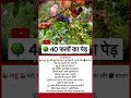 🌳 “40 फलों का पेड़ – एक ही तने पर पूरा बाग़!” 🍑🍒🍏#aasamtezpur #foryou