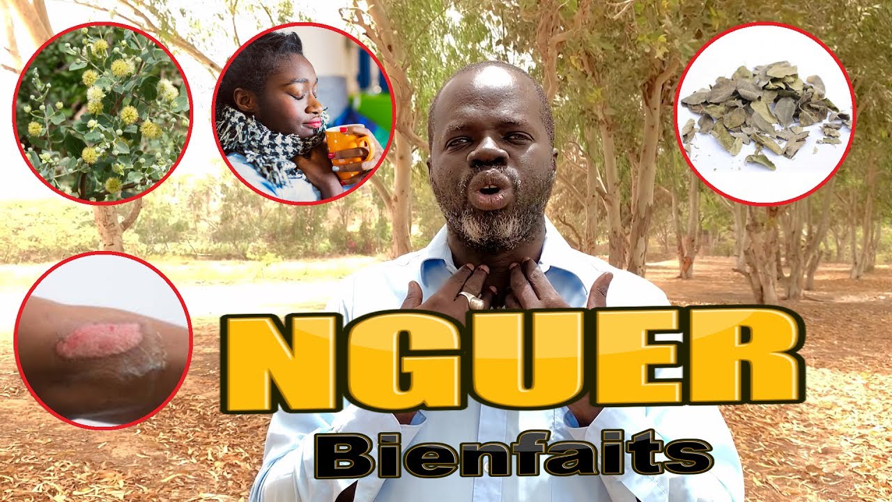 Ndiarignou Garabou Nguér ( NGUERA SENEGALENSIS ) Pr Ousmane Ndiaye - SAMA XALAAT TV
