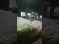 #اكسبلور شاااهد