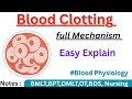Blood Clotting | Blood Coagulation in Hindi |Full Mechanism in Detail ✅