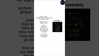 Python vs Javascript vs Assembly Profile
