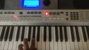 Nagin Dhun keyboard by Nitin Kapoor on Yamaha i455