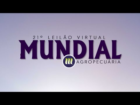 Lote 01   JHVM 9862 FIV CAMPARINO   JHVM 9862 zap