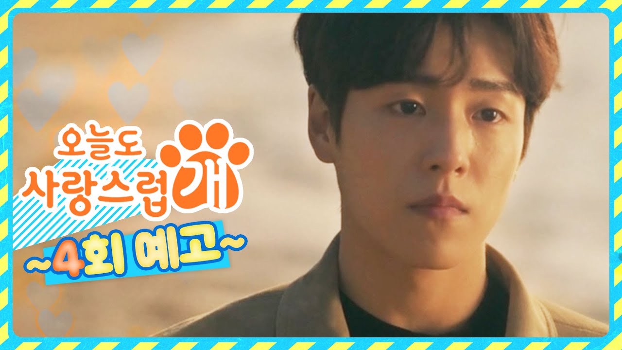 A Good Day to Be a Dog Episode 4 Trailer Teases Cha Eun Woo, Park Gyu  Young's Romance