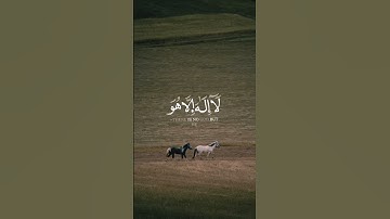 ﴿ وَاذْكُرِ اسْمَ رَبِّكَ وَتَبَتَّلْ إِلَيْهِ تَبْتِيلًا﴾[ سورة المزمل: 8] #القرآن #شريف_مصطفى