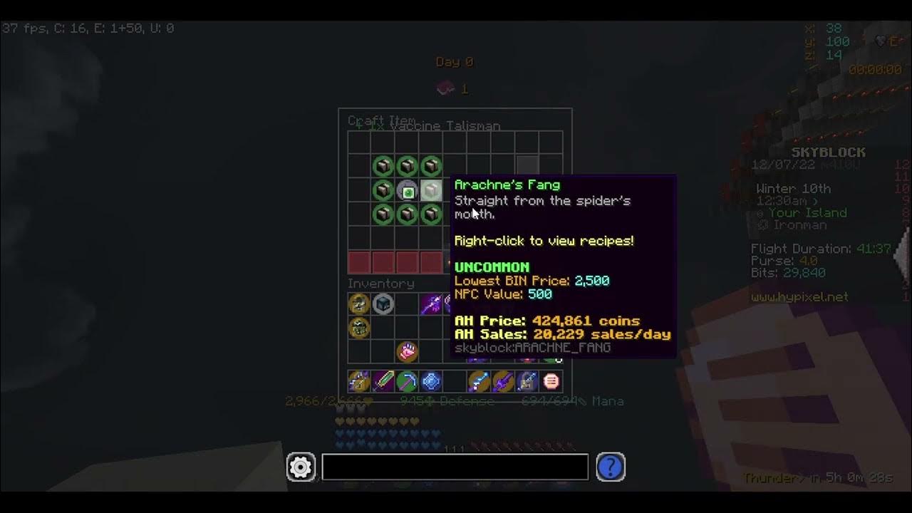Vaccine Artifact on Ironman Hypixel Skyblock YouTube