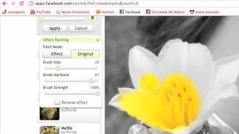 Color Splash Tutorial On Picnik
