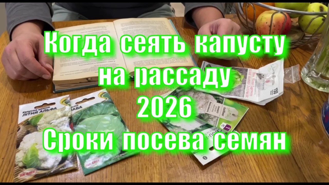 Когда Сеять Капусту На Рассаду 2026. Благоприятные Дни