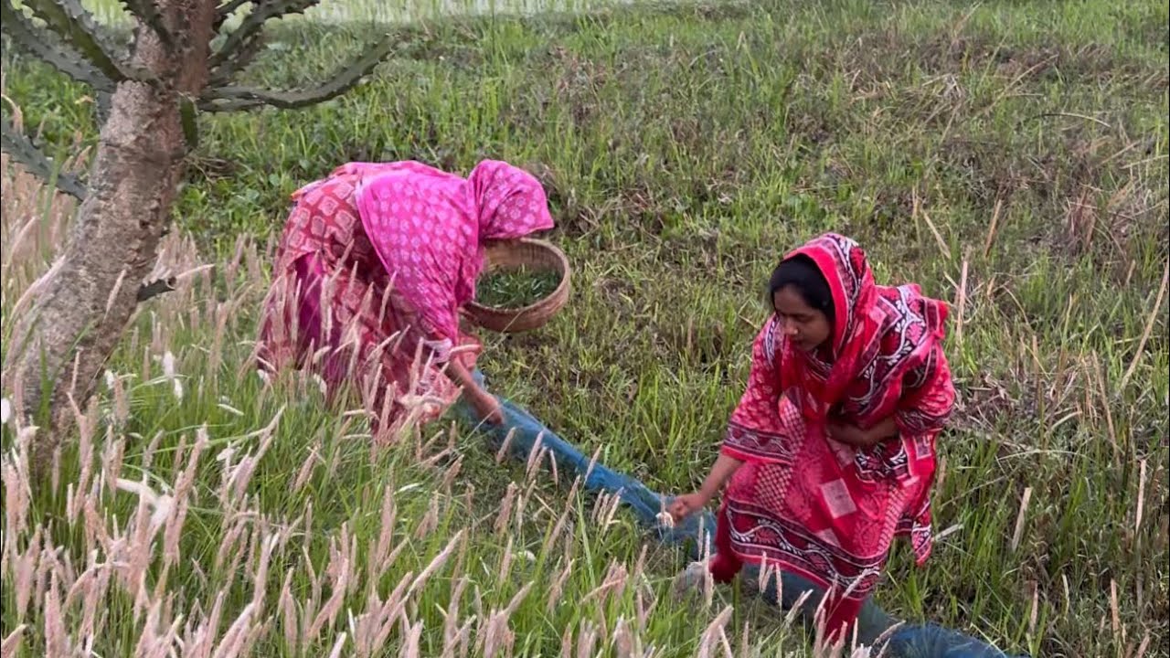 গ্রামে আসলে শহরে যেতে আর ভালো লাগেনা