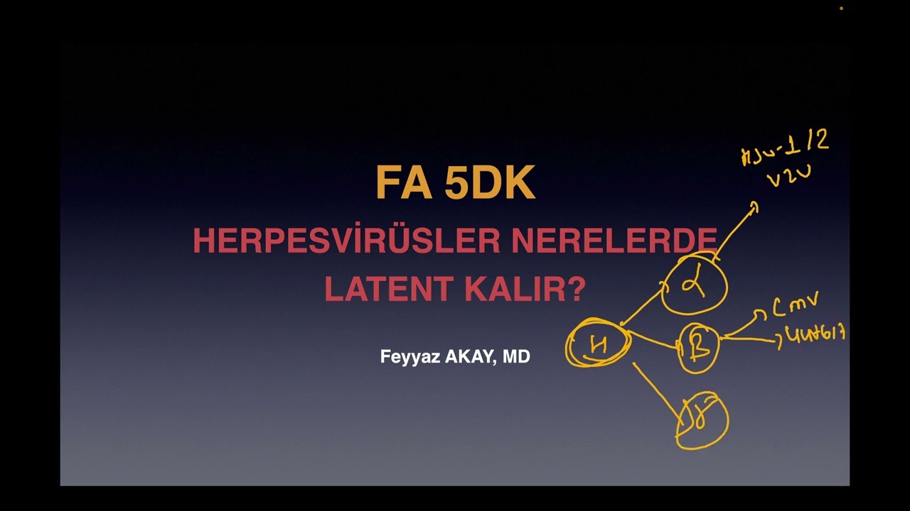 20.  FA 5 DK (HERPESVİRÜSLER NERELERDE LATENT KALIR?)