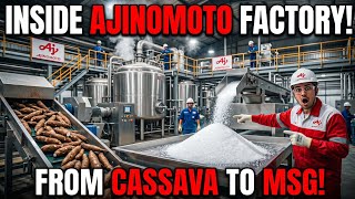 Inside the Giant Ajinomoto Factory: How MSG Is Made from Cassava Using Advanced Technology